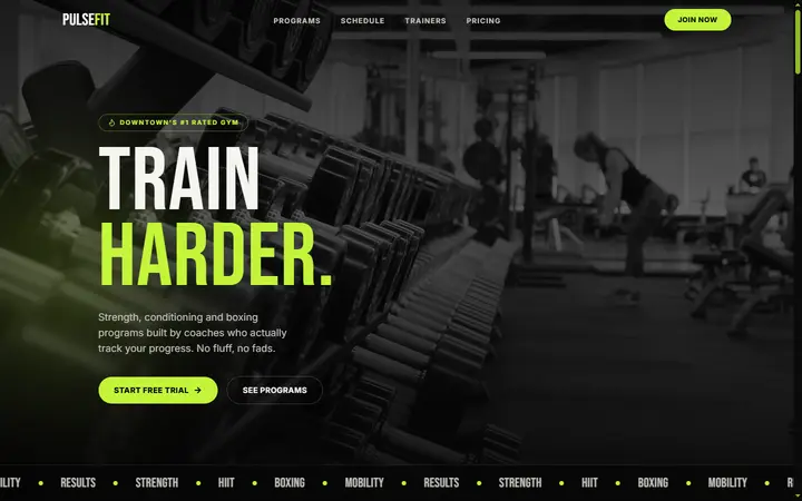 Pulse Fit website concept